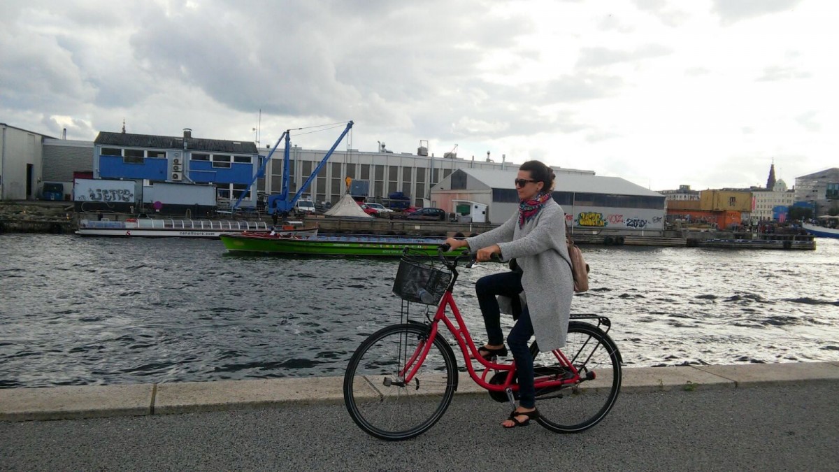 Kodaňské jeřáby, kola a tatarák